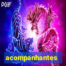 acompanhantes peludas sao paulo